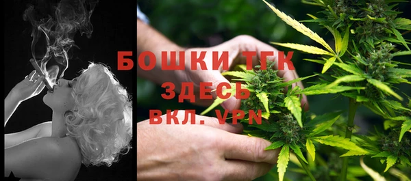 сатива Магас