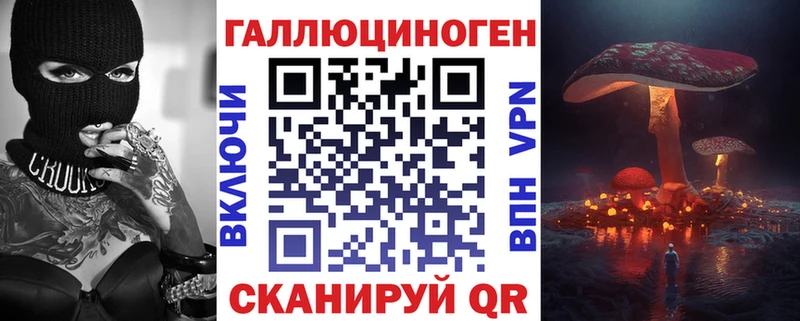kraken как войти Дмитровск Галлюциногенные грибы Psilocybe как найти закладки