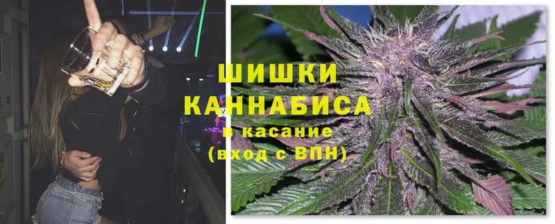 Бошки марихуана OG Kush  Дмитровск 